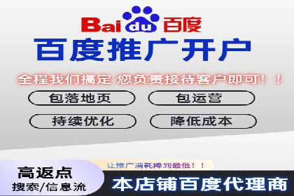 百度SEO推广公司案例分享：行业佼佼者经验